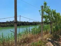 #23566 Terreni agricoli con serre e fabbricati rurali a Vittoria