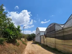 #23566 Terreni agricoli con serre e fabbricati rurali a Vittoria