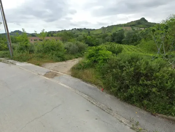 #2536518 Terreni agricoli di 3.644 mq