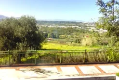 #23733 Terreni agricoli di 29.705 mq