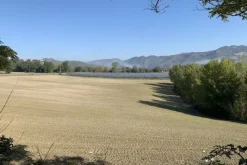 #19966 Terreni agricoli di 183506 mq