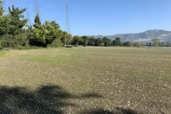 #19966 Terreni agricoli di 183506 mq
