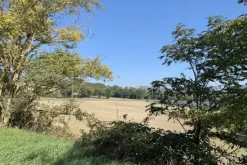 #2638285 Terreni agricoli di 107948 mq