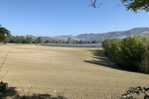 #2638285 Terreni agricoli di 107948 mq