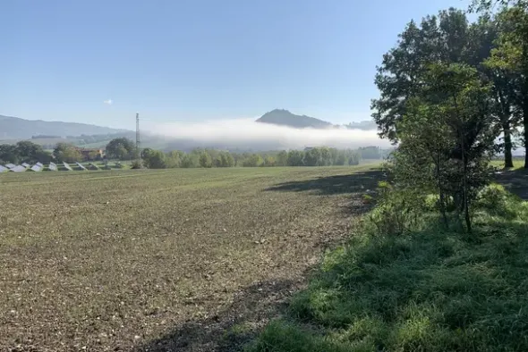 #2638285 Terreni agricoli di 107948 mq