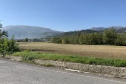 #2638285 Terreni agricoli di 107948 mq