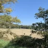 #2638284 Terreni agricoli di 75558 mq