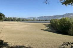 #2638284 Terreni agricoli di 75558 mq