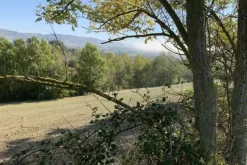 #2638284 Terreni agricoli di 75558 mq