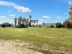 #23581 Terreni agricoli di 20004 mq