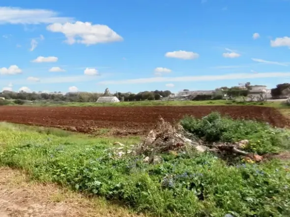 #23581 Terreni agricoli di 20004 mq
