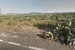 #11141 Terreni agricoli di 13.171 mq con fabbricati rurali