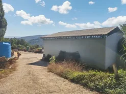 #24300 Terreni agricoli di 1490 mq con tettoie