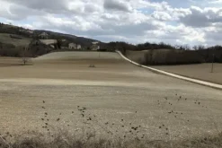 #19972 Terreni agricoli in parte edificabili di 101296 mq