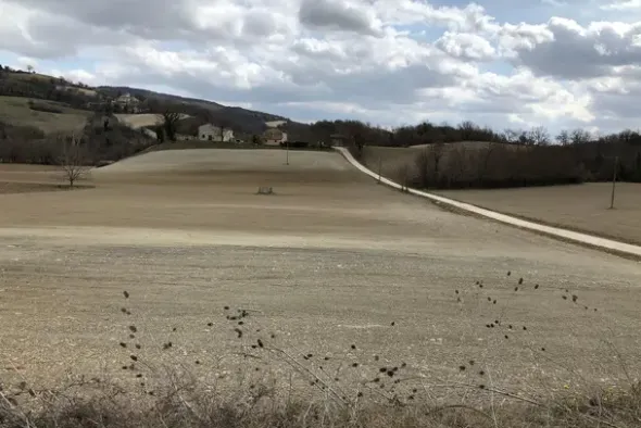 #19972 Terreni agricoli in parte edificabili di 101296 mq