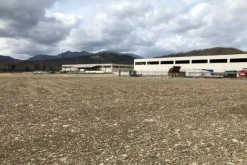 #19972 Terreni agricoli in parte edificabili di 101296 mq