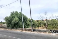 #2537093 Terreno agricolo