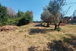 #24191 Terreno agricolo con porzione di viabilità