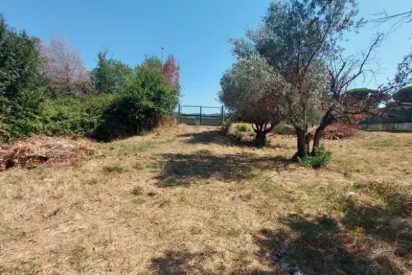 #24191 Terreno agricolo con porzione di viabilità
