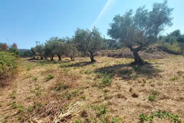 #24191 Terreno agricolo con porzione di viabilità