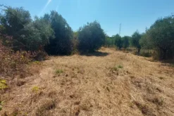 #24191 Terreno agricolo con porzione di viabilità