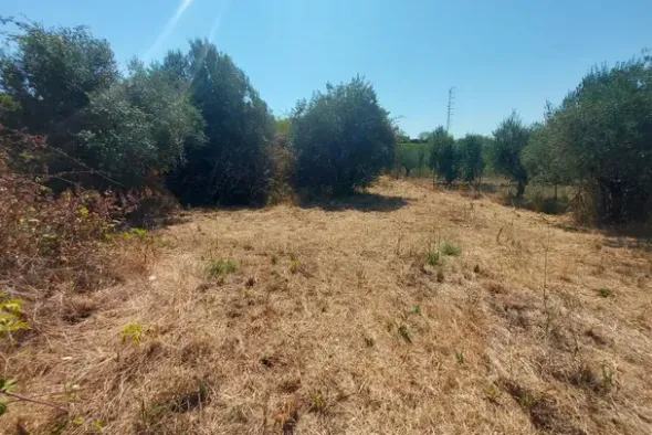 #24191 Terreno agricolo con porzione di viabilità