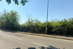 #24191 Terreno agricolo con porzione di viabilità