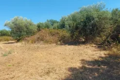 #24191 Terreno agricolo con porzione di viabilità
