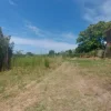 #2536080 Terreno agricolo di circa 29 ettari con fabbricati annessi