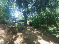 #2536080 Terreno agricolo di circa 29 ettari con fabbricati annessi