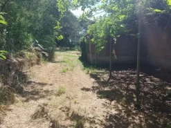 #2536080 Terreno agricolo di circa 29 ettari con fabbricati annessi