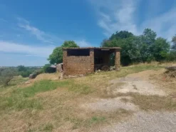 #2536080 Terreno agricolo di circa 29 ettari con fabbricati annessi