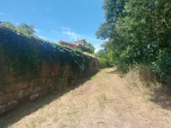#2536080 Terreno agricolo di circa 29 ettari con fabbricati annessi