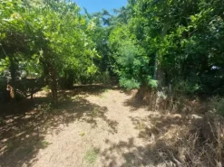 #2536080 Terreno agricolo di circa 29 ettari con fabbricati annessi