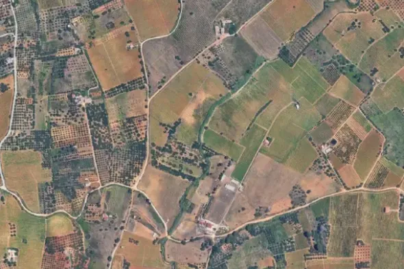 #25488 Terreno agricolo di 54.382 mq