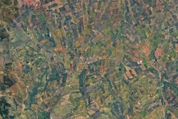 #25488 Terreno agricolo di 54.382 mq
