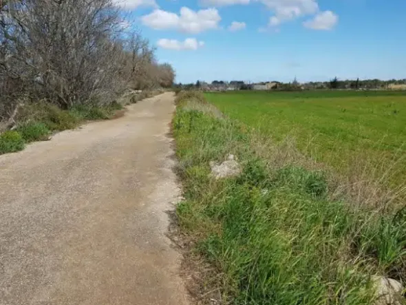 #23970 Terreno agricolo di 40.541 mq