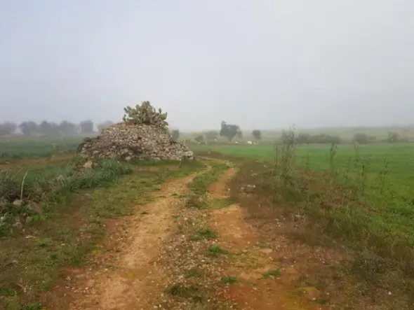 #23972 Terreno agricolo di 10.734 mq