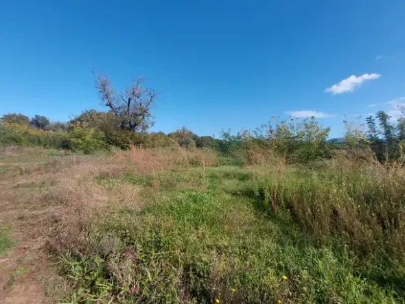 #2537296 Terreno agricolo di 3.640 mq