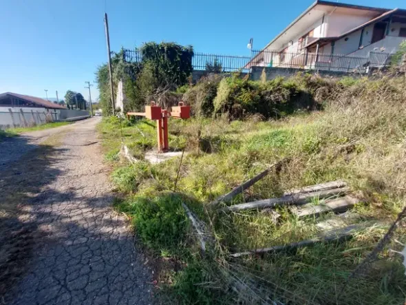 #2537296 Terreno agricolo di 3.640 mq