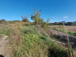 #2537296 Terreno agricolo di 3.640 mq