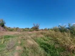 #2537296 Terreno agricolo di 3.640 mq