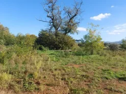 #2537296 Terreno agricolo di 3.640 mq