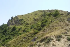#9544 Terreno agricolo di 33.530 mq