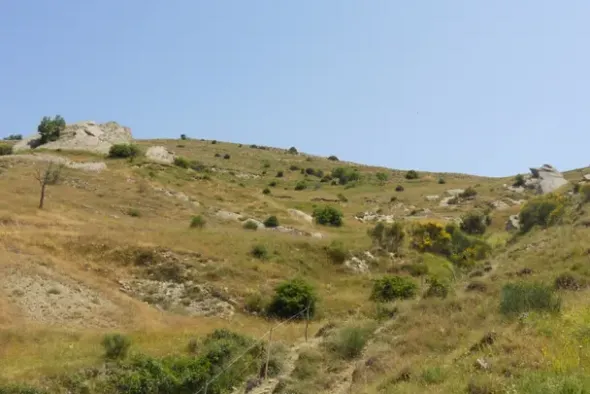 #9544 Terreno agricolo di 33.530 mq