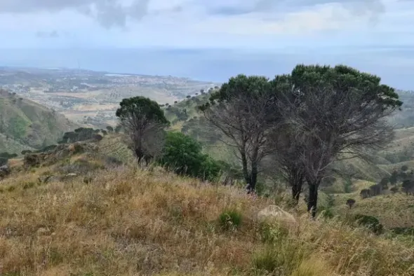 #18178 Terreno agricolo di 25.230 mq