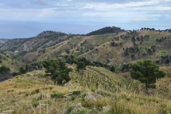 #18178 Terreno agricolo di 25.230 mq