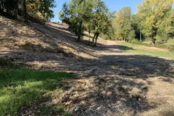 #19960 Terreno agricolo di 11169 mq