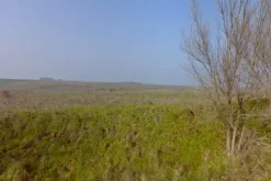 #4785 Terreno agricolo di 290.000 mq
