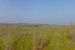 #4785 Terreno agricolo di 290.000 mq